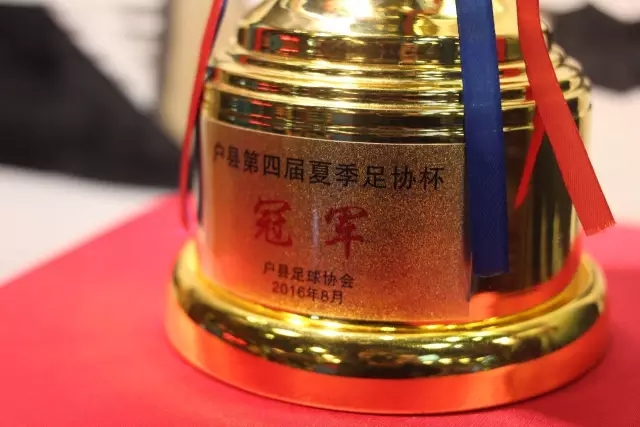 维拉青睐格雷茨卡的领袖力与强悍对抗